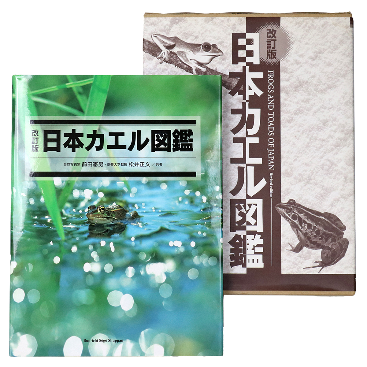 日本カエル図鑑 大型本 【公式通販】