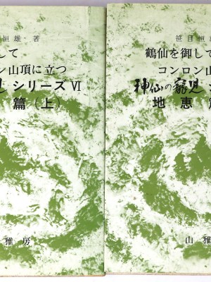 鶴仙を御してコンロン山頂に立つ　神仙の寵児シリーズ地恵篇　上下　2冊