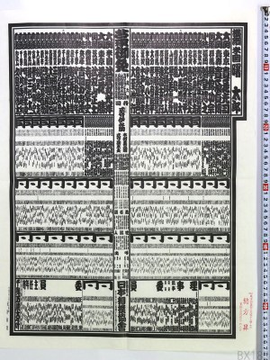大相撲番付表 平成6年名古屋場所 曙太郎 若ノ花勝 貴ノ花光司