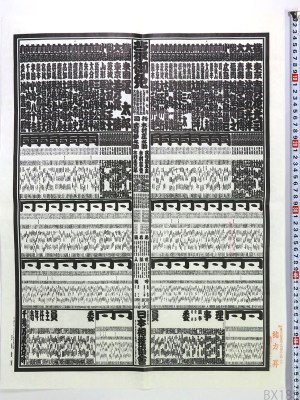 大相撲番付表 平成7年名古屋場所 横綱 曙太郎 貴乃花光司
