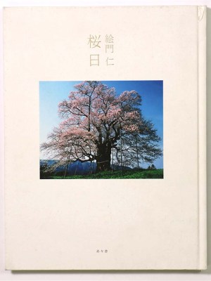 桜日