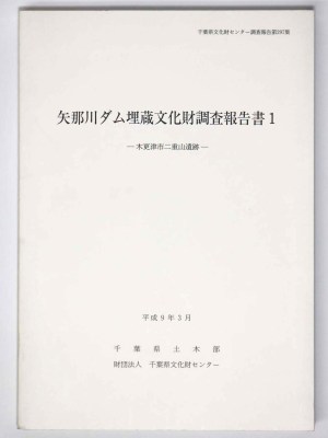 矢那川ダム埋蔵文化財調査報告書　木更津市二重山遺跡