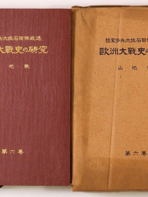 欧洲大戦史の研究　第6巻　山地戦