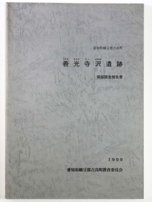 善光寺沢遺跡発掘調査報告書