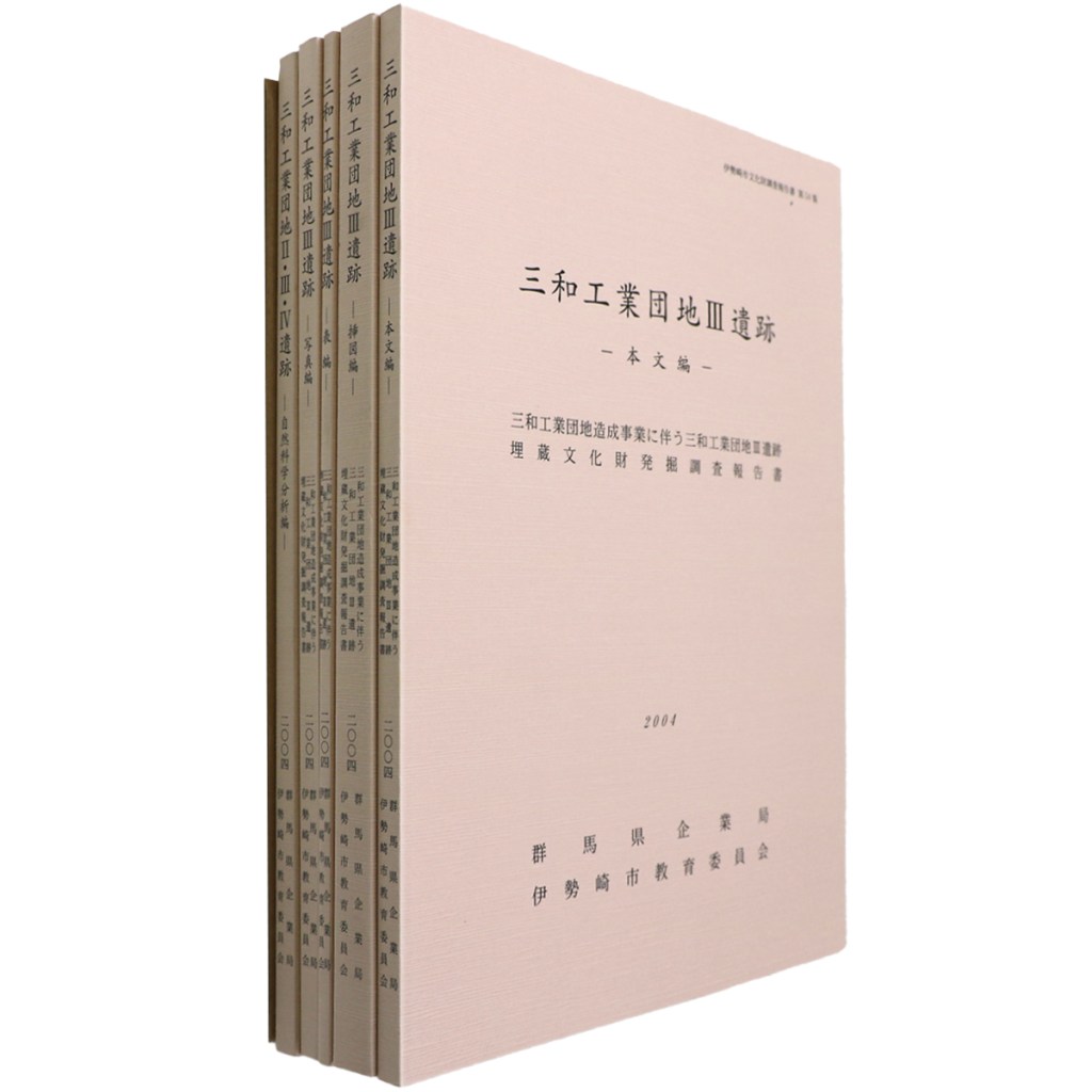 三和工業団地3遺跡 5冊組
