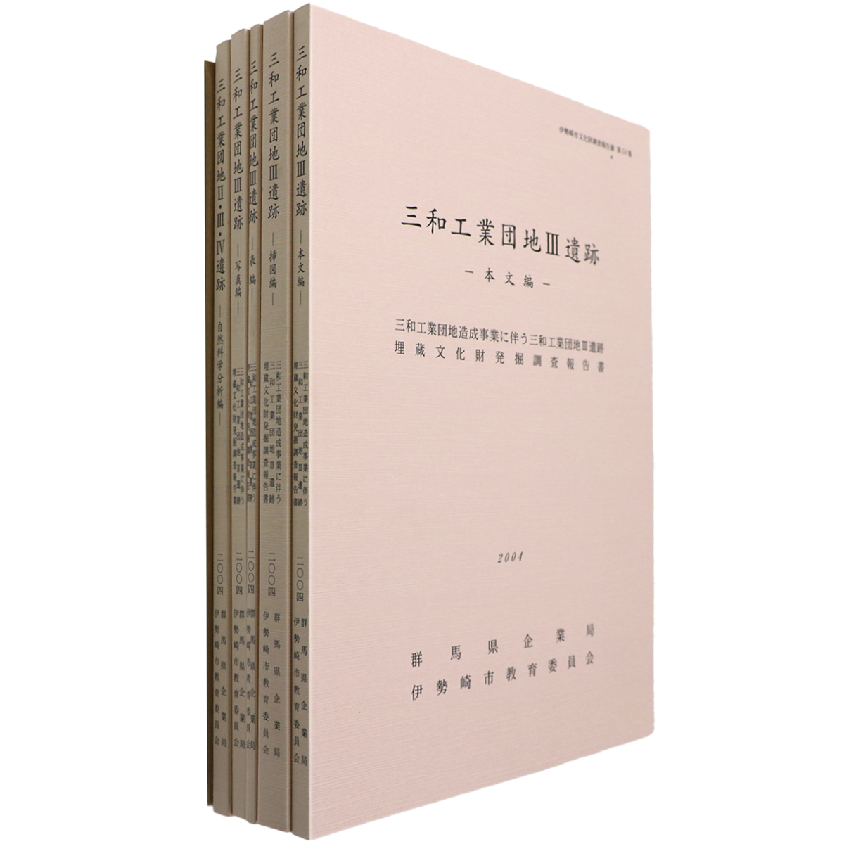 三和工業団地3遺跡 5冊組