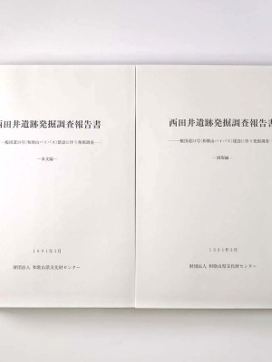 西田井遺跡発掘調査報告書　本文編・図版編