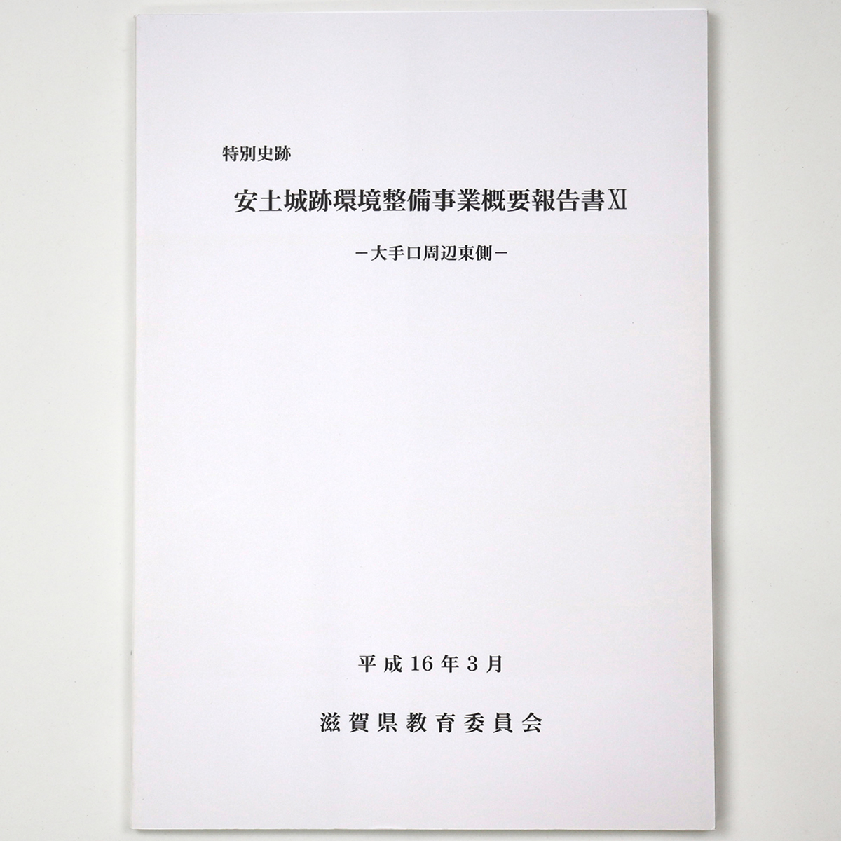 特別史跡　安土城跡環境整備事業概要報告書11　大手口周辺東側