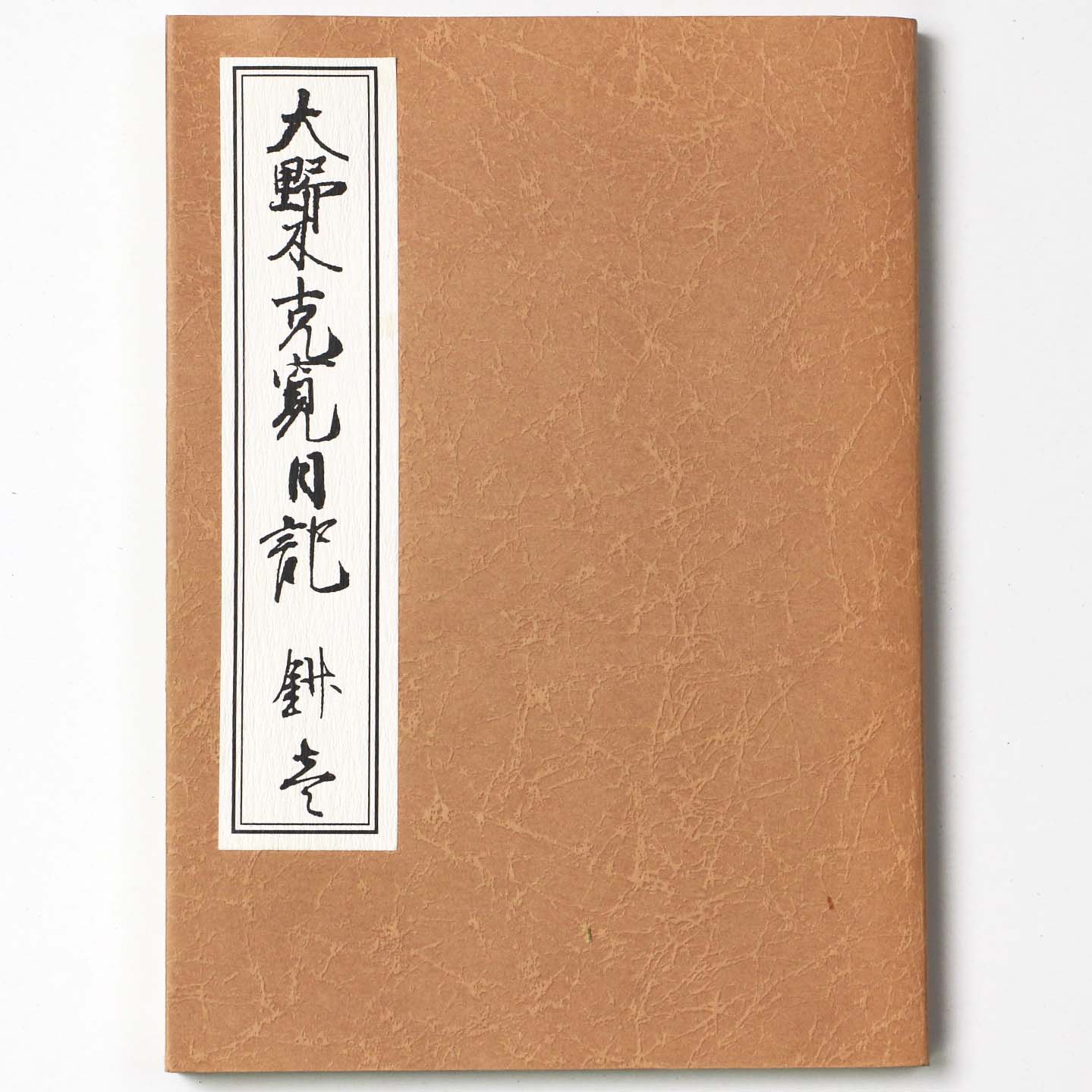 大野木克寛日記　抄壱