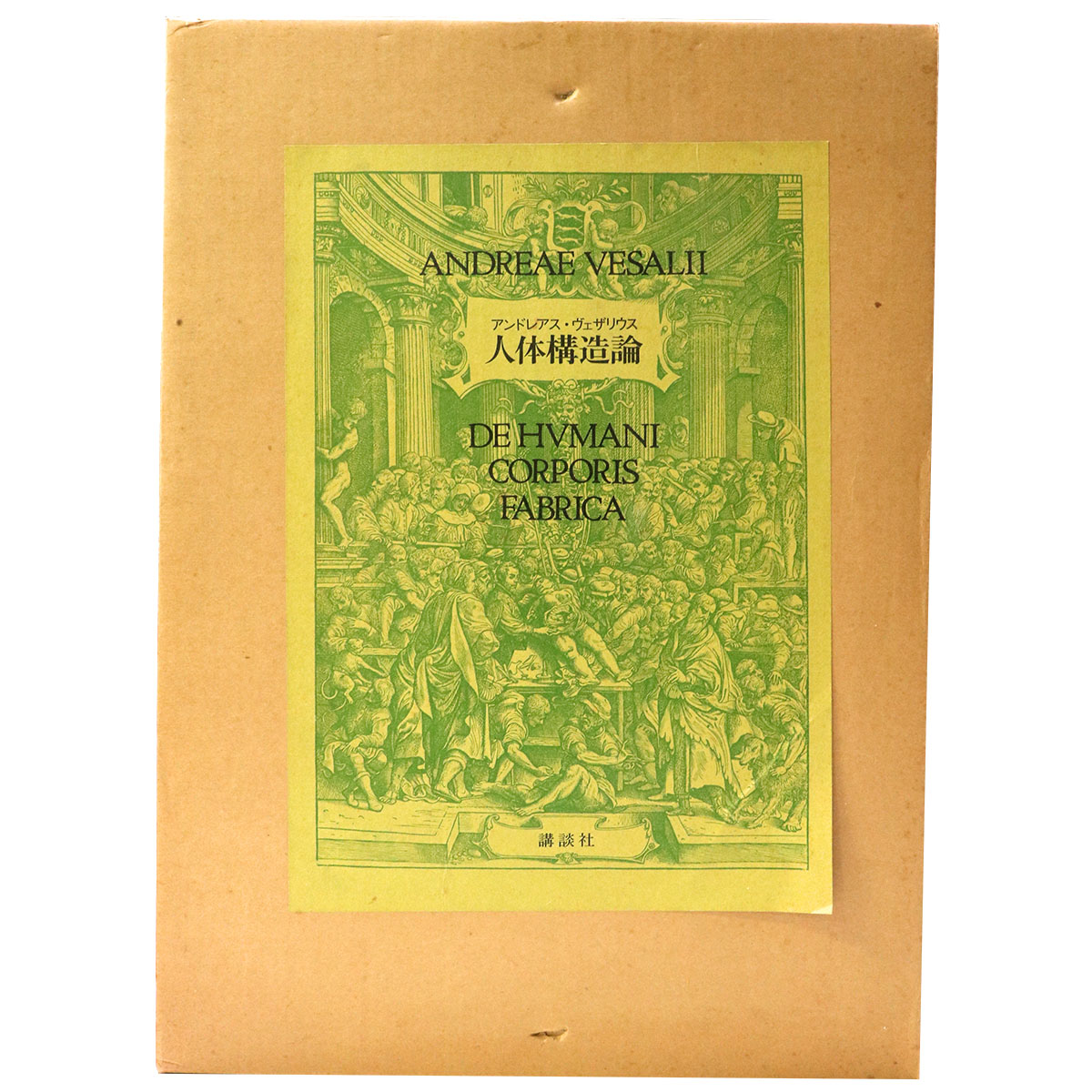 人体構造論　DE HVMANI CORPORIS FABRICA