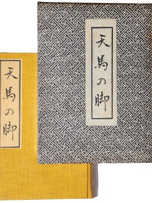 天馬の脚