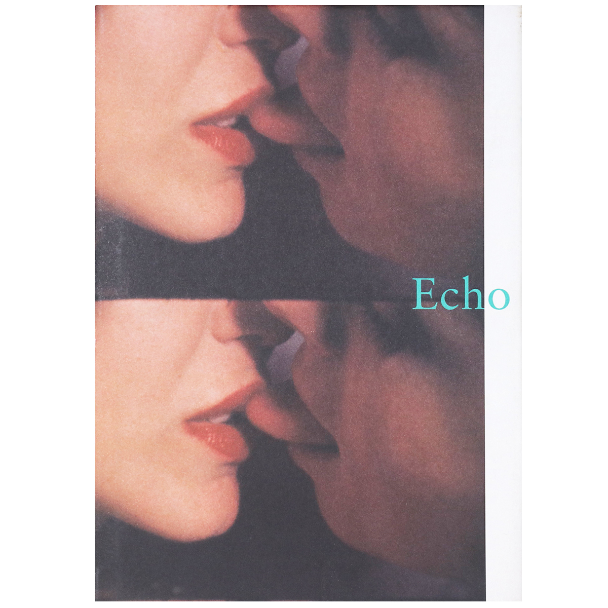 Julião Sarmento: Echo
