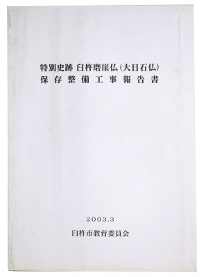 特別史跡臼杵磨崖仏（大日石仏）保存整備工事報告書
