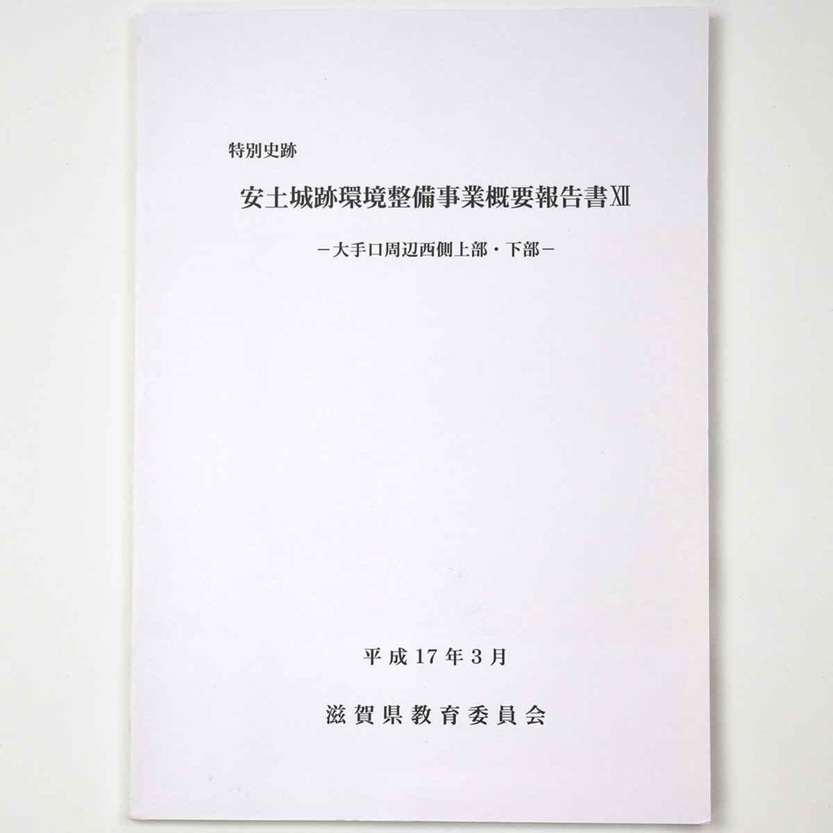 特別史跡　安土城跡環境整備事業概要報告書12　大手口周辺西側上部・下部