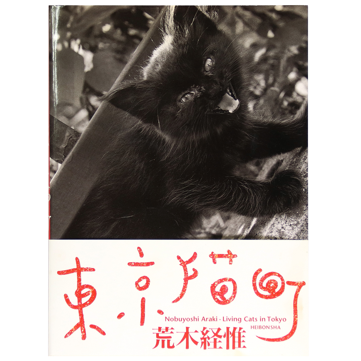 東京猫町