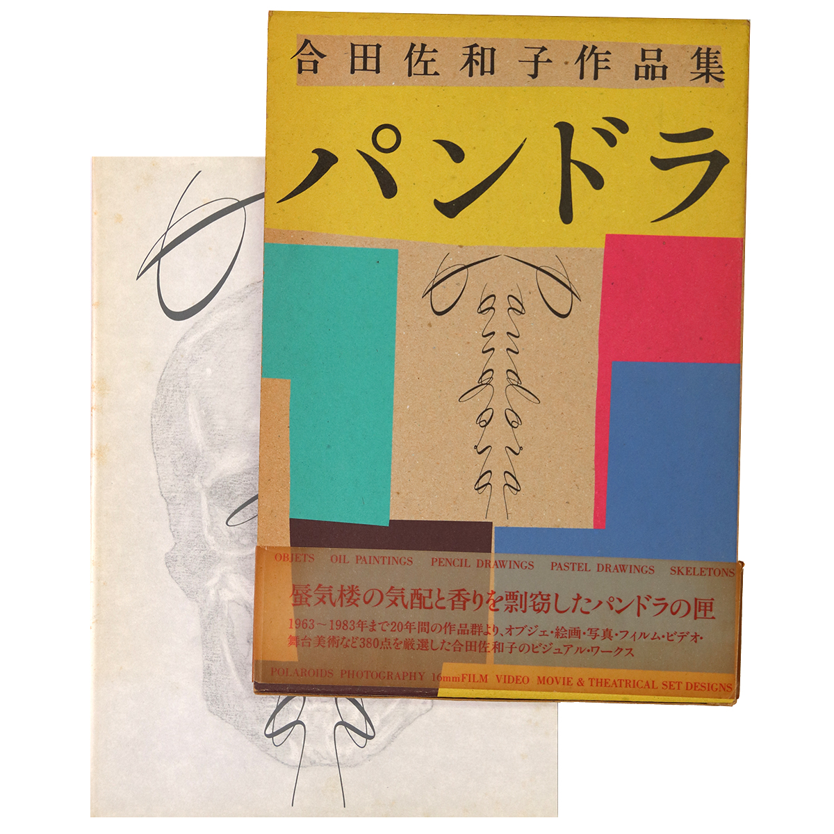 パンドラ　合田佐和子作品集