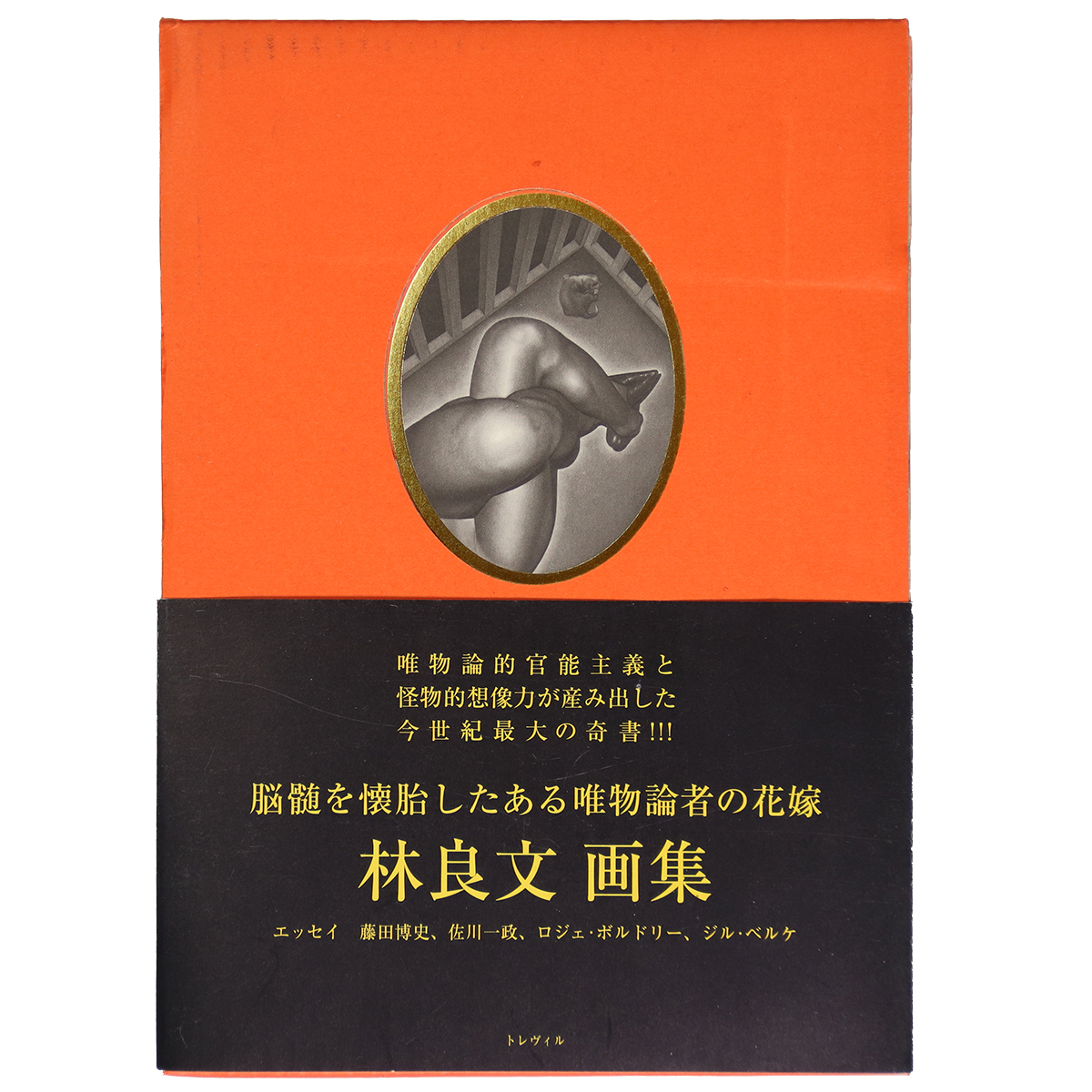 脳髄を懐胎したある唯物論者の花嫁　林良文画集
