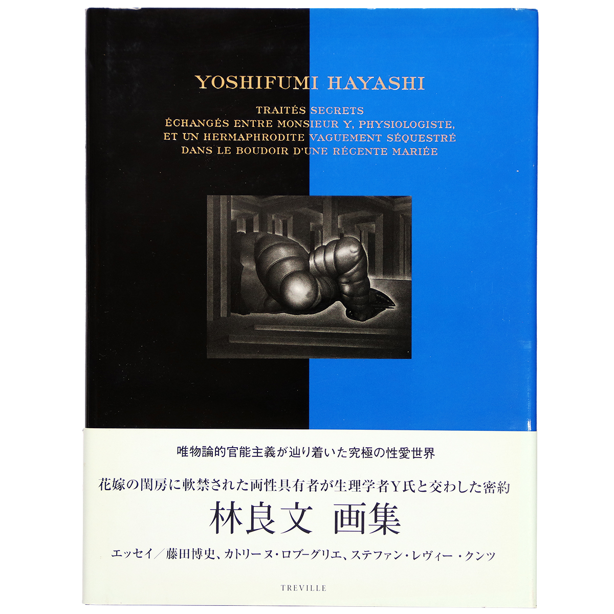 花嫁の閨房に軟禁された両性具有者が生理学者Y氏と交わした密約　林良文画集