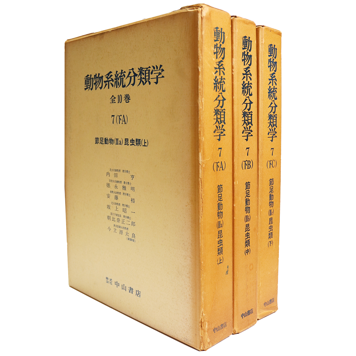 動物系統分類学7（下A・B・Ｃ）節足動物（3a・b・c）昆虫類(上)(中)（下）　3冊セット