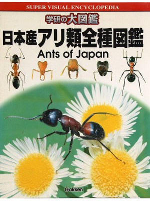 日本産アリ類全種図鑑　学研の大図鑑